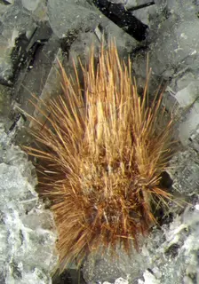 Tuperssuatsiaite-429014.jpg