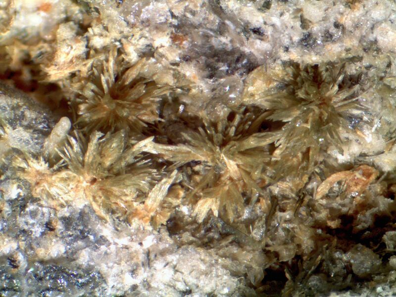 Windmountainite