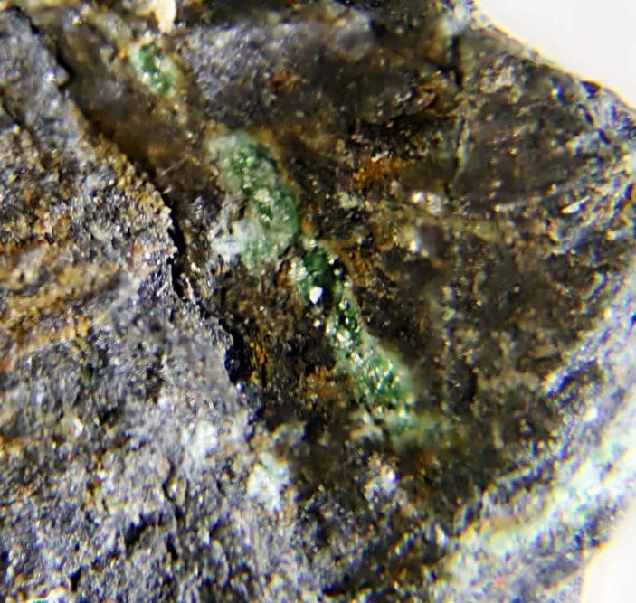 Turanite.jpg
