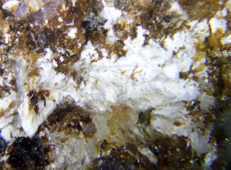 Tvedalite.jpg