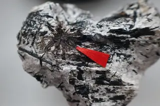 Umbozerite1.jpg