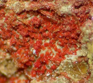 Umohoite-497498.jpg