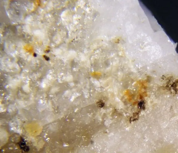 Balipholite.jpg