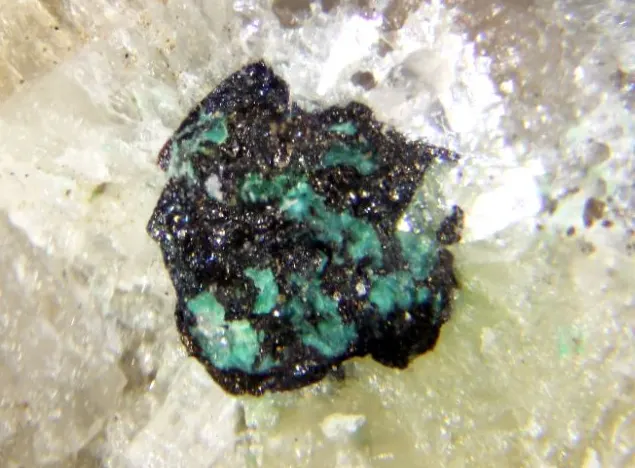 Bambollaite.jpg