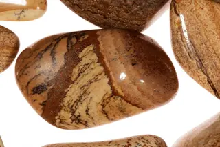 Picture-jasper.jpg