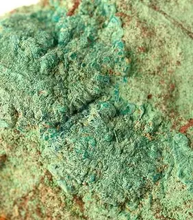Bandylite-177427.jpg