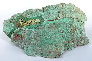 Bandylite-tuc8-124e.jpg