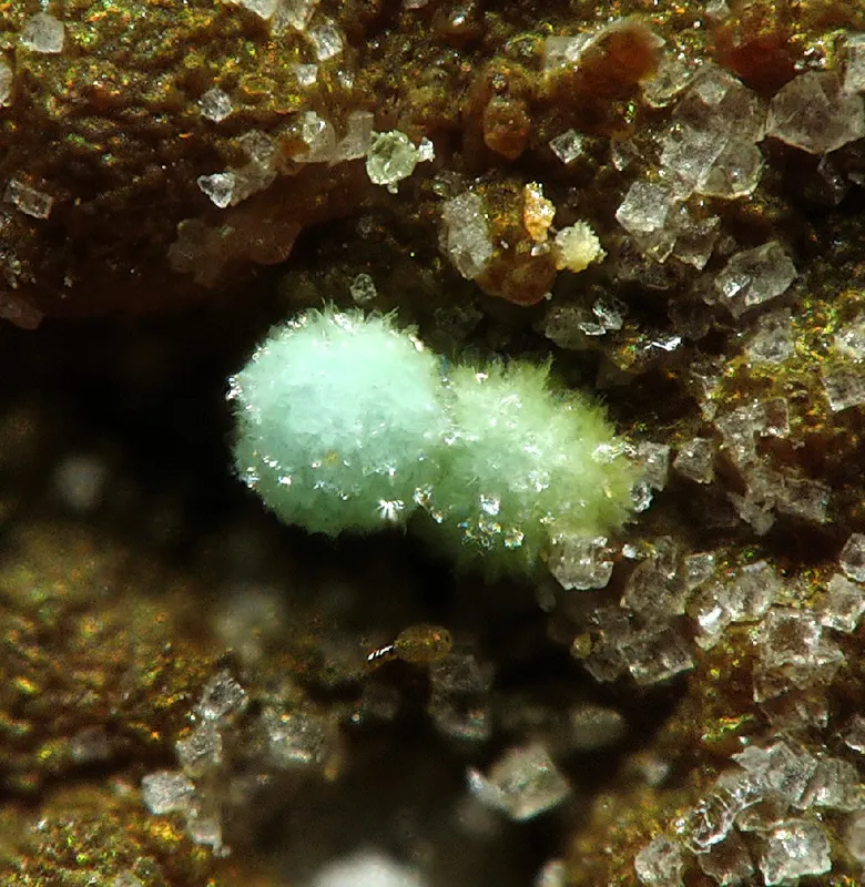 Barahonaite-(Al)-203803.jpg