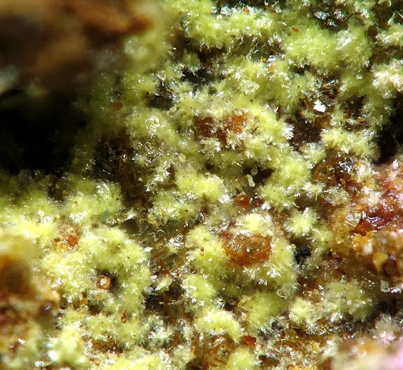 Barahonaite-(Fe)-203805.jpg