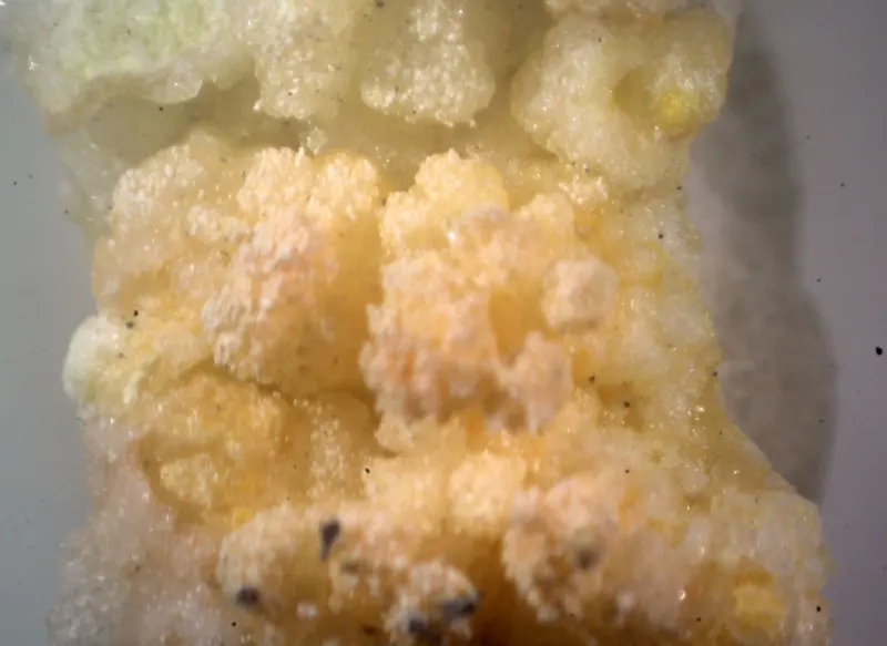 Bararite.jpg