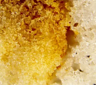 Bararite & Cryptohalite.jpg