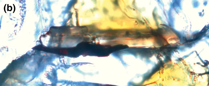 Qeltite crystal (b).png