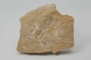 Uralolith auf Spodumenpegmatit mit Spodumen Muskovit Quarz 21015 2.jpg