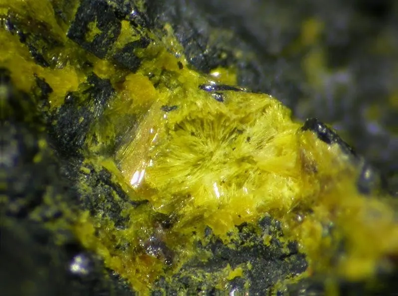Uranopilite-96146.jpg