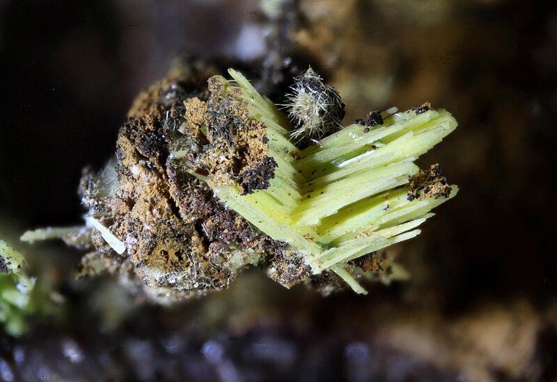 Uranospathite