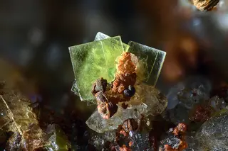Uranospinite-696589.jpg