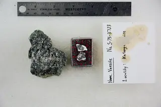 Vaesite (48522445271).jpg