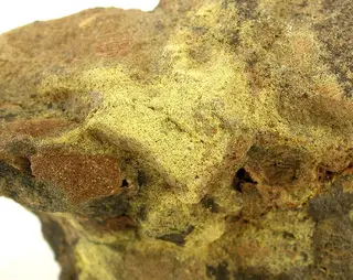 Carnotite-Vanoxite-sea16b.jpg