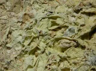 Varlamoffite-108719.jpg