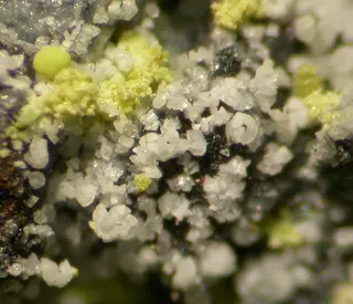 Vashegyite-500995.jpg