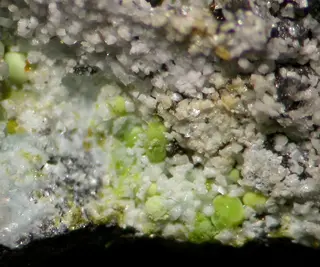 Vashegyite, Volborthite-500996.jpg