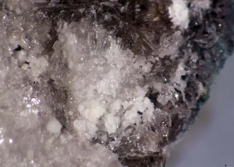 Vendidaite.jpg