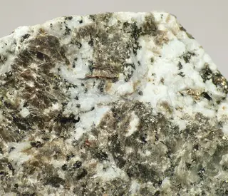 Vishnevite-683762.jpg