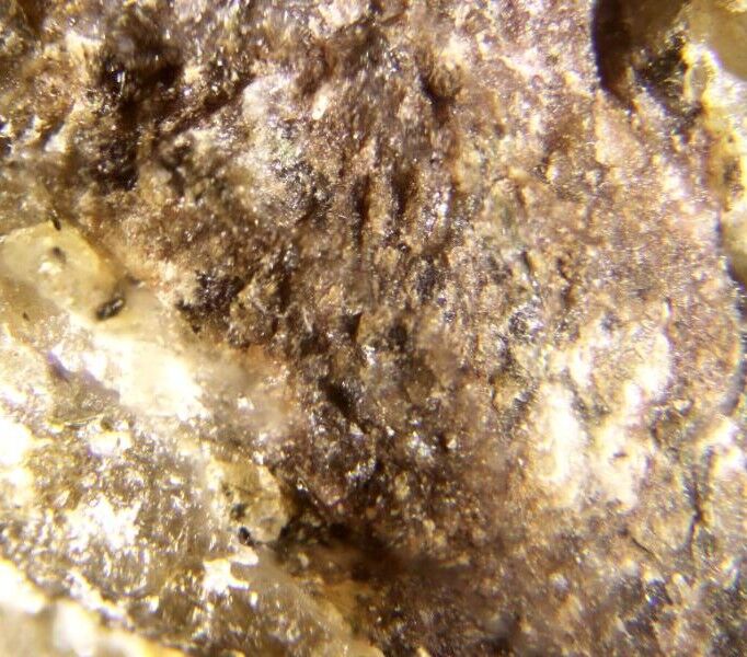 Vladykinite