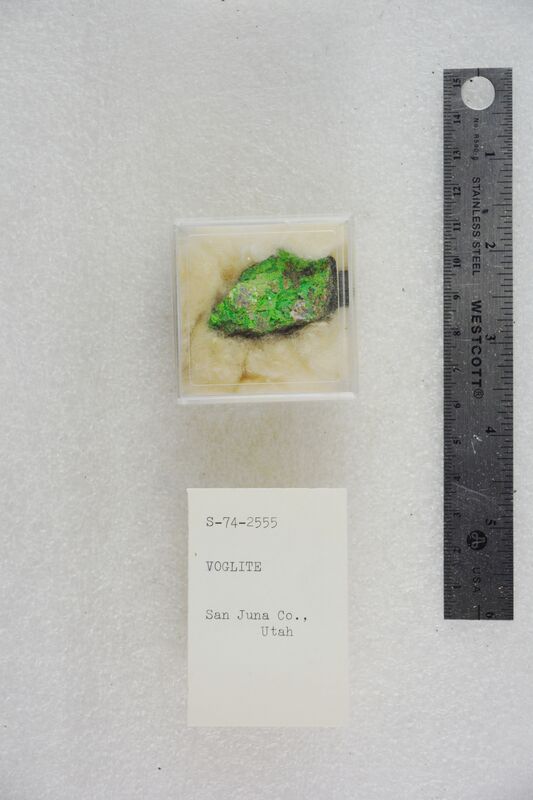 Voglite