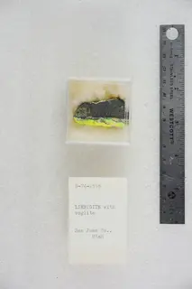 Liebigite with Voglite (48002849676).jpg