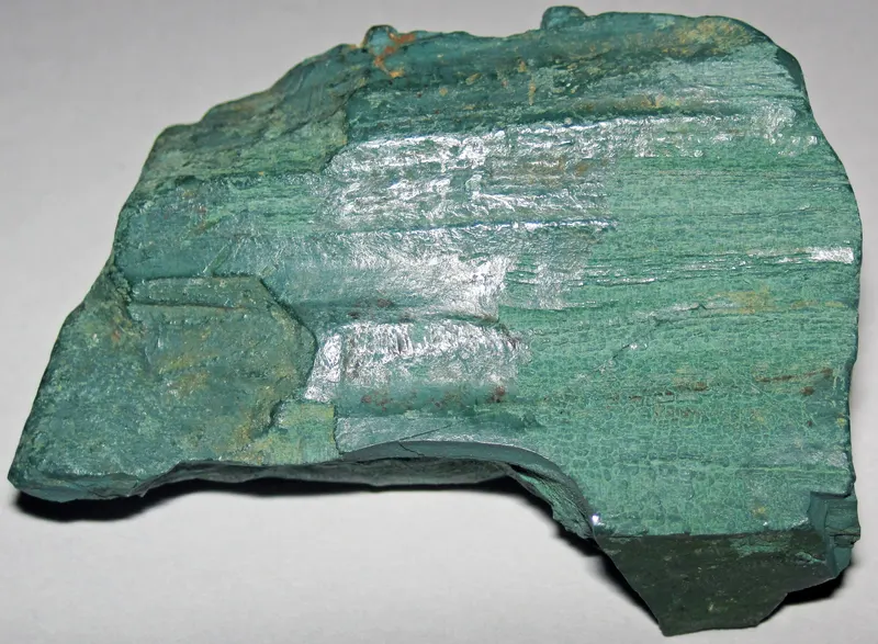 Volkonskoite-replaced fossil wood, Mt. Efimiatsk, Chastinsky District, Russia.jpg