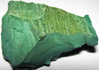 Volkonskoite-replaced fossil wood (Upper Permian; Mt. Efimiatsk, Chastinsky District, foothills of the Ural Mountains, Russia) 1.jpg
