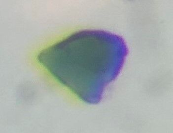 Wadsleyite