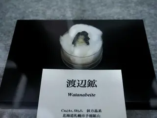 Watanabeite displayed at Mining Museum of Akita University.jpg