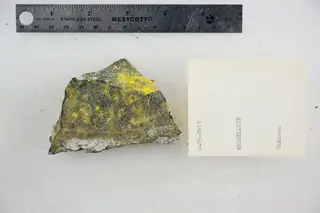 Weddellite (48522542301).jpg