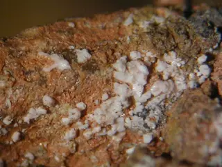 Bassanite - Ronneburg, Thuringia, Germany.jpg