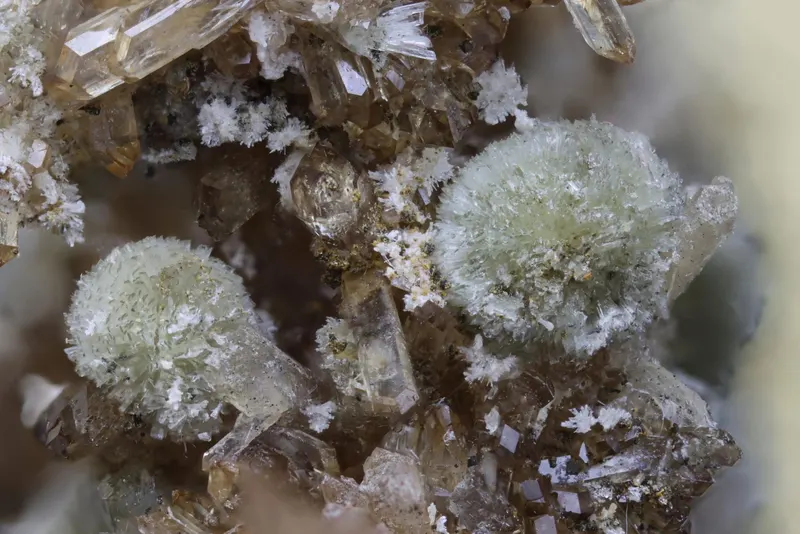 Zanazziite, Whiteite-(MnFeMg), Eosphorite (Henk Smeets, tomeikminerals).jpg