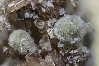 Zanazziite, Whiteite-(MnFeMg), Eosphorite (Henk Smeets, tomeikminerals).jpg