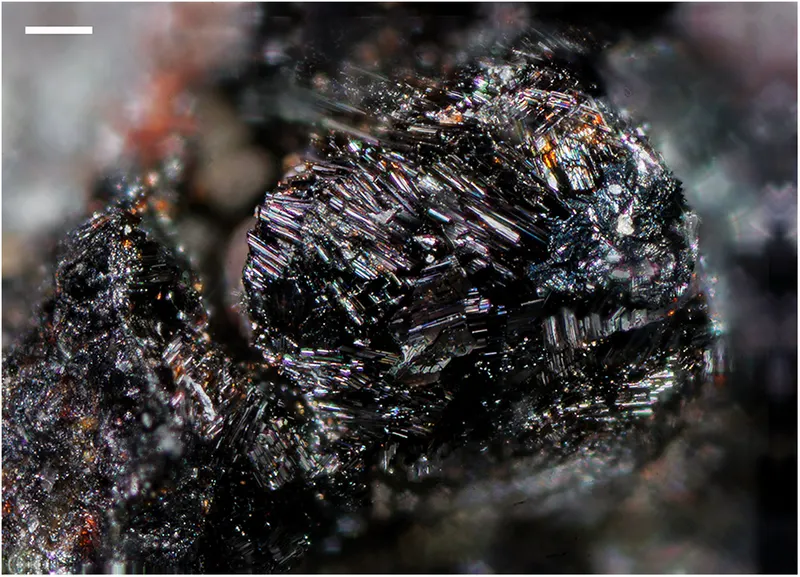 Whiterockite.png