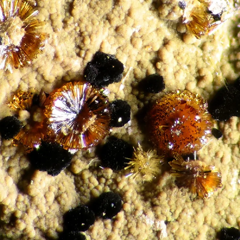 Whitmoreite-114926.jpg