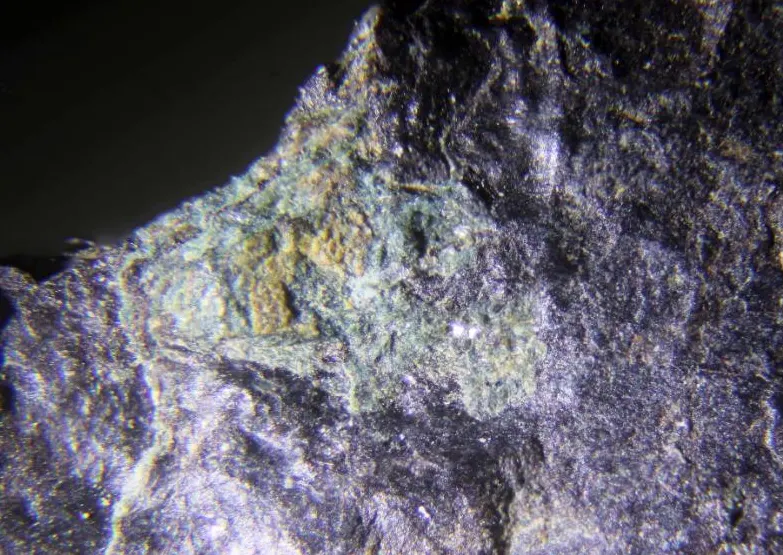 Wicksite.jpg