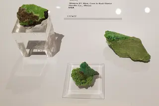 Widgiemoolthalite, Harvard Museum of Natural History, November 2022.jpg