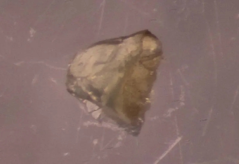 Wilhelmkleinite.jpg