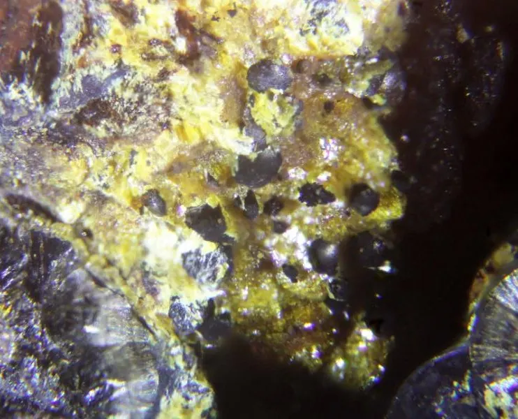 Wilhelmvierlingite & Rockbridgeite.jpg