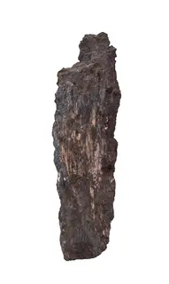 Wiserite-778948.jpg