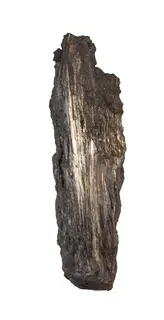 Wiserite-778947.jpg