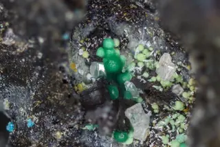 Woodwardite-22076-6 (Henk Smeets, tomeikminerals).jpg