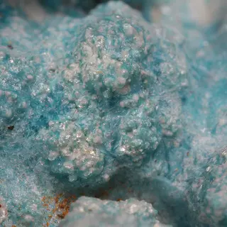 Zincowoodwardite, Serpierite-834246.jpg