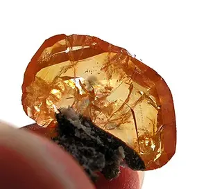 Wulfenite-dtn35b.jpg