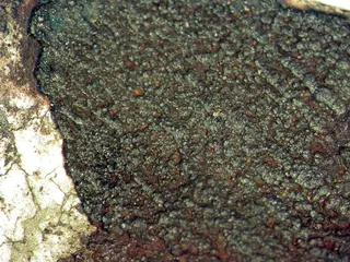 Wüstite, Iron (Variety Kamacite), Goethite-110973.jpg